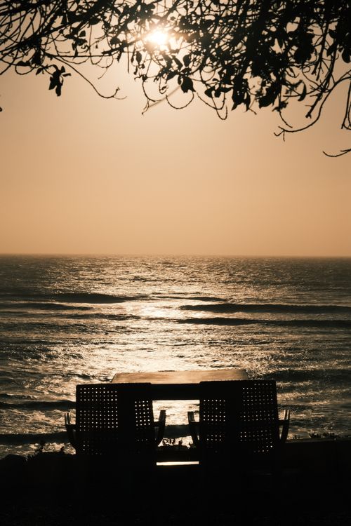 Free Two chairs facing the ocean under a tree, captured during sunset. Stock Photo