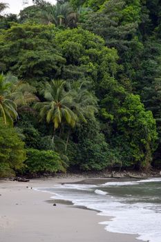 Serene tropical beach with lush greenery in Quepos, Costa Rica. Perfect getaway scene.