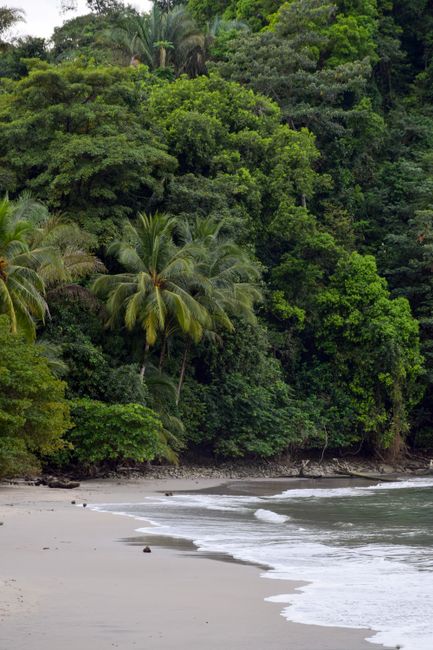 Corcovado National Park