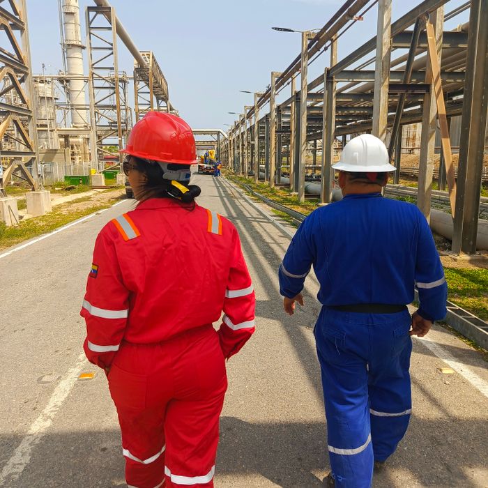 Two field crew members in protective gear walking through a plant — photo by Annyles Ortiz on Pexels