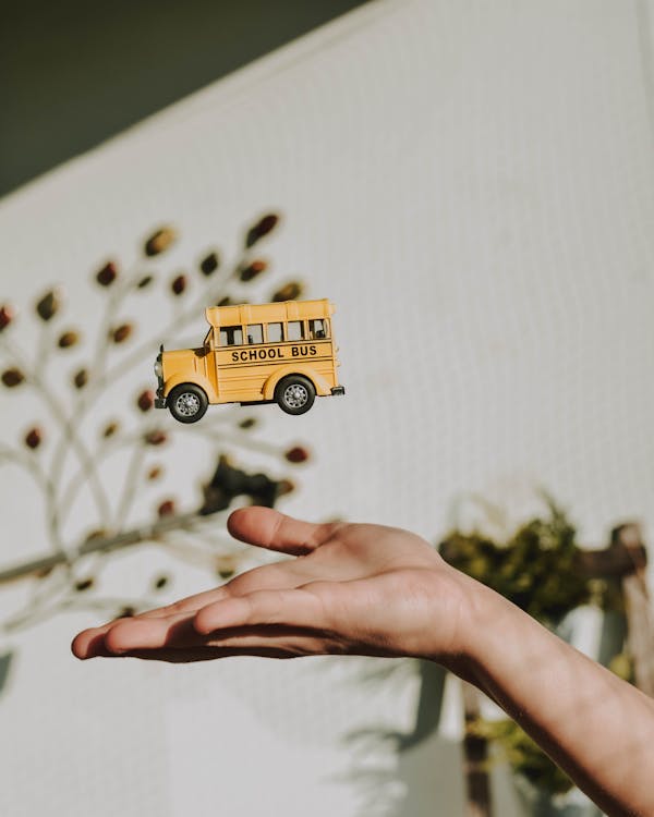 Person Holding Yellow and Black School Bus Toy