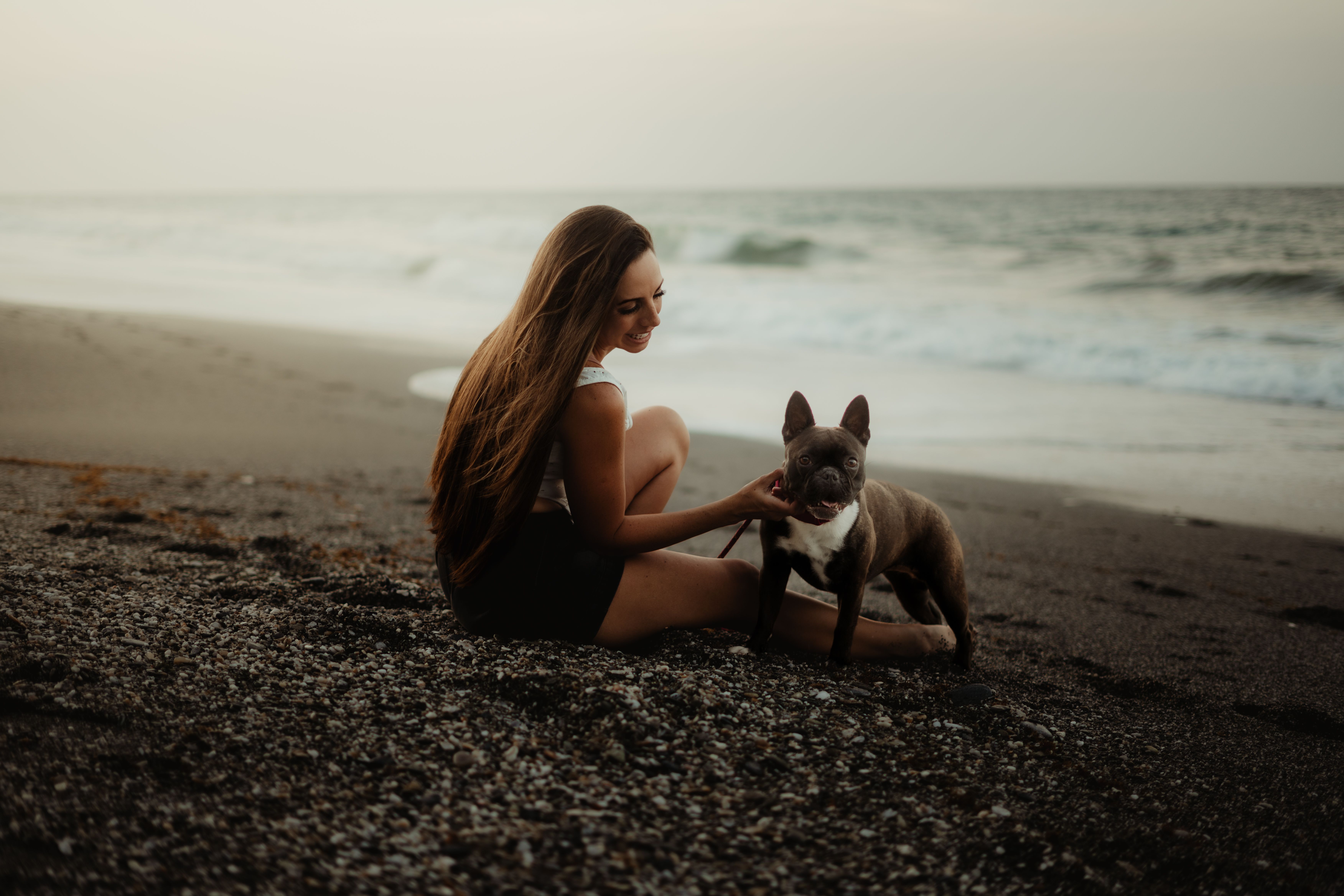 Latina-Founded Pet Lifestyle Brand Bundle x Joy Expands into PetSmart Stores Nationwide — Photo by Edwin  Mijares on Pexels