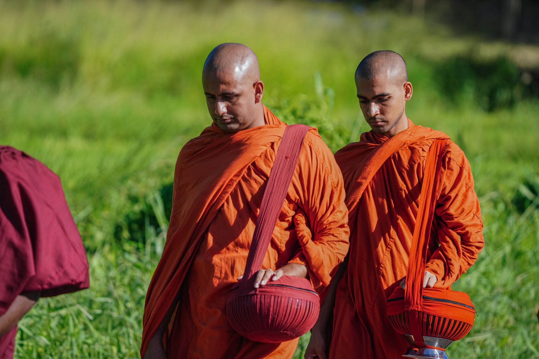 Buddhist monks in vibrant robes walking outdoors, holding alms bowls during a spiritual procession.