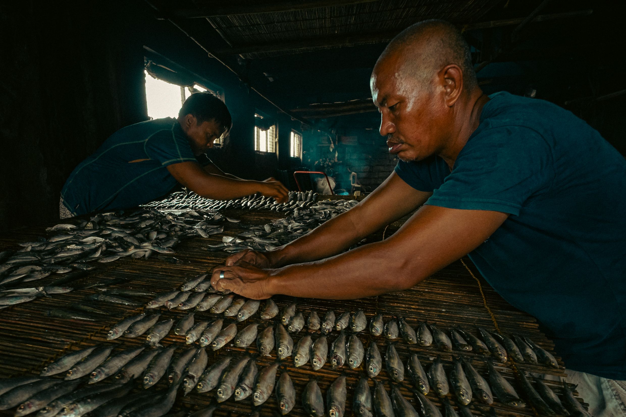 Fish product