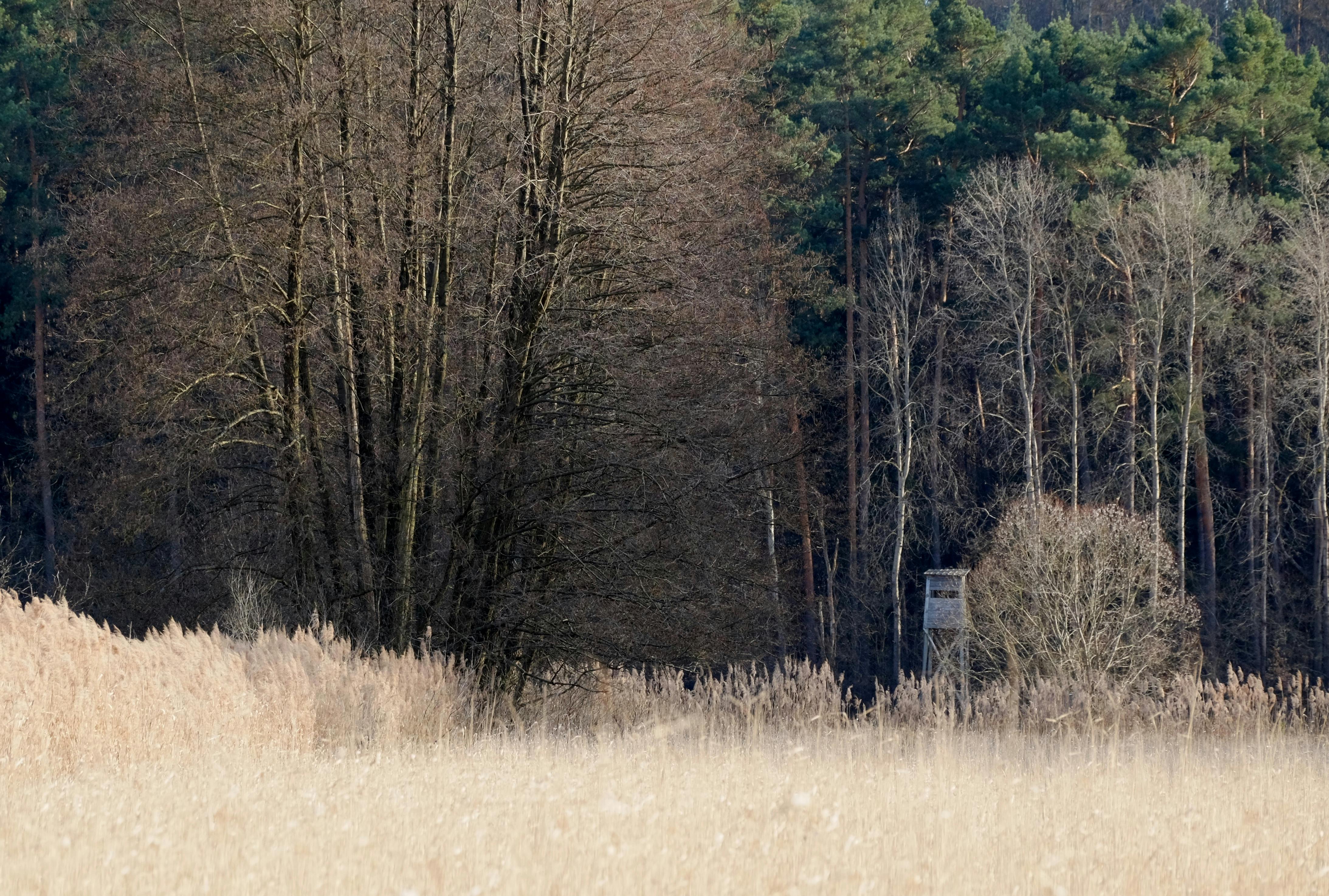 Hunting &amp; Outdoor Adventure Show at QCCA Expo Center, Rock Island, Feb. 12-15 — Photo by Roman Biernacki on Pexels