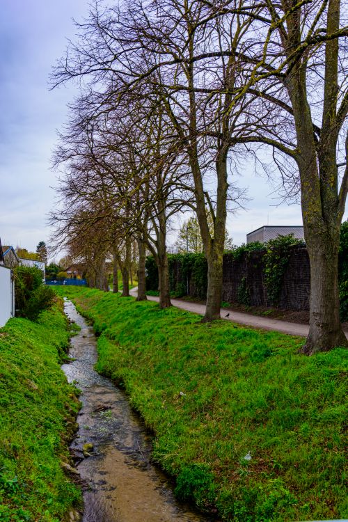 Free A serene stream flowing through Coesfeld, NRW, flanked by bare trees and green grass. Stock Photo