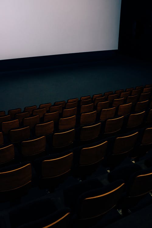 Black Chairs in Front of White Projector Screen