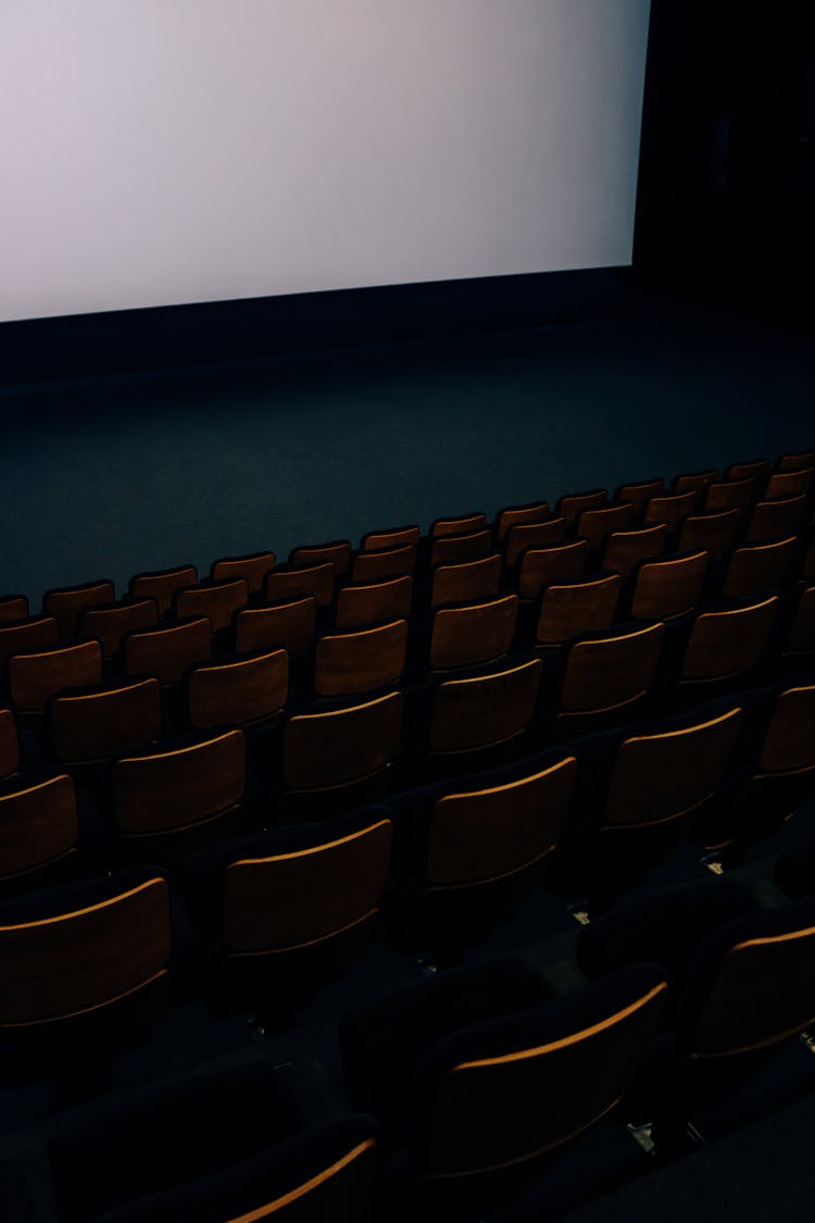 Black Chairs In Front Of White Projector Screen