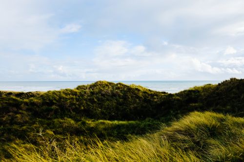 Free Lush green dunes lead to a serene ocean view under a blue sky. Stock Photo