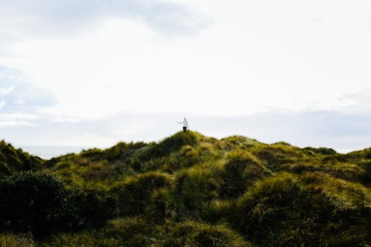 A lone hiker stands atop a grassy hill under a vast sky, embracing nature's tranquility.