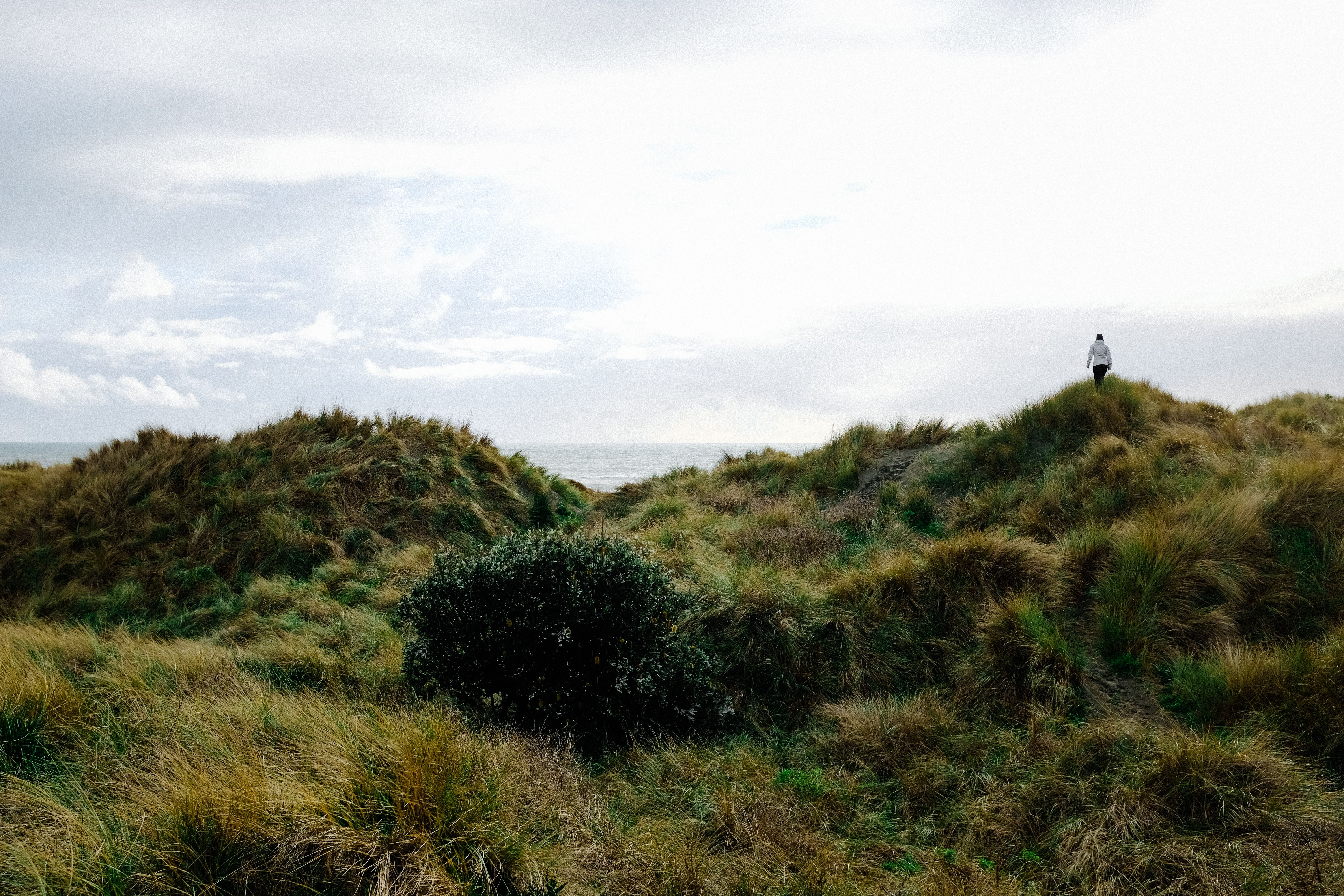 Person Standing on Green Grass Field · Free Stock Photo