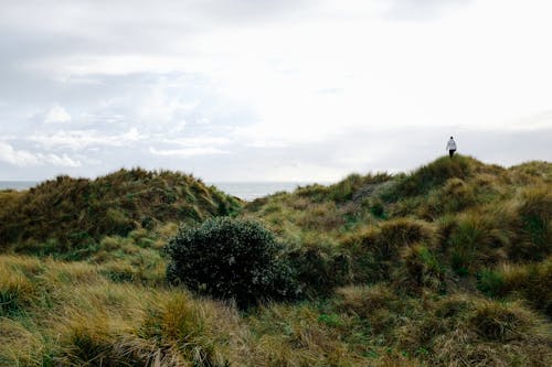 Persona De Pie Sobre El Campo De Hierba Verde