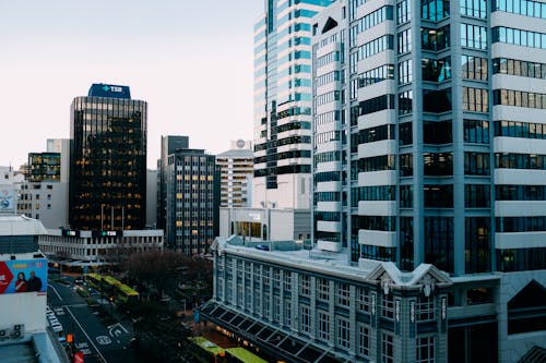 Free Buses on Road Near High Rise Buildings Stock Photo