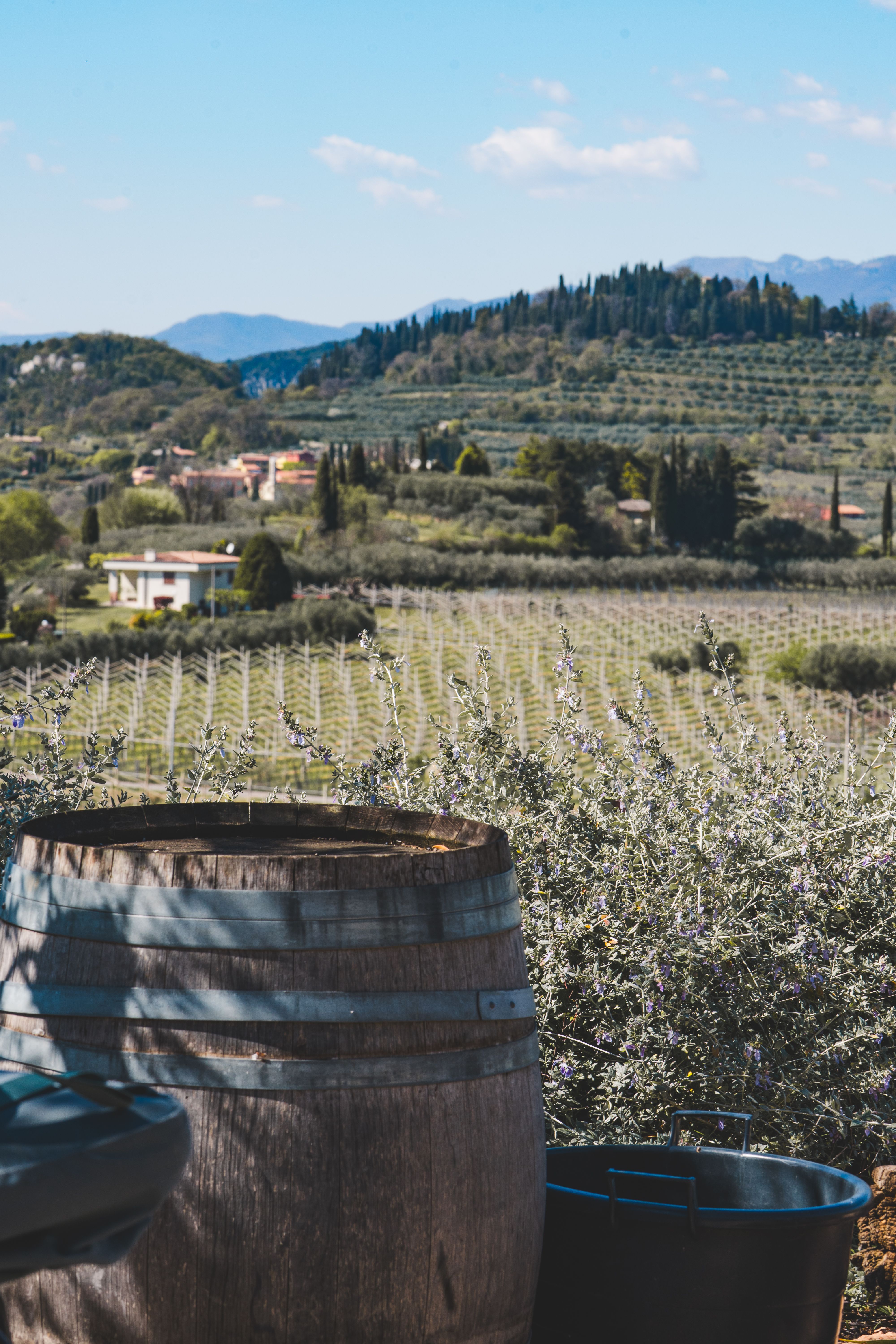 Vignoble Pic Saint-Loup visite domaine viticole sans voiture - illustration
