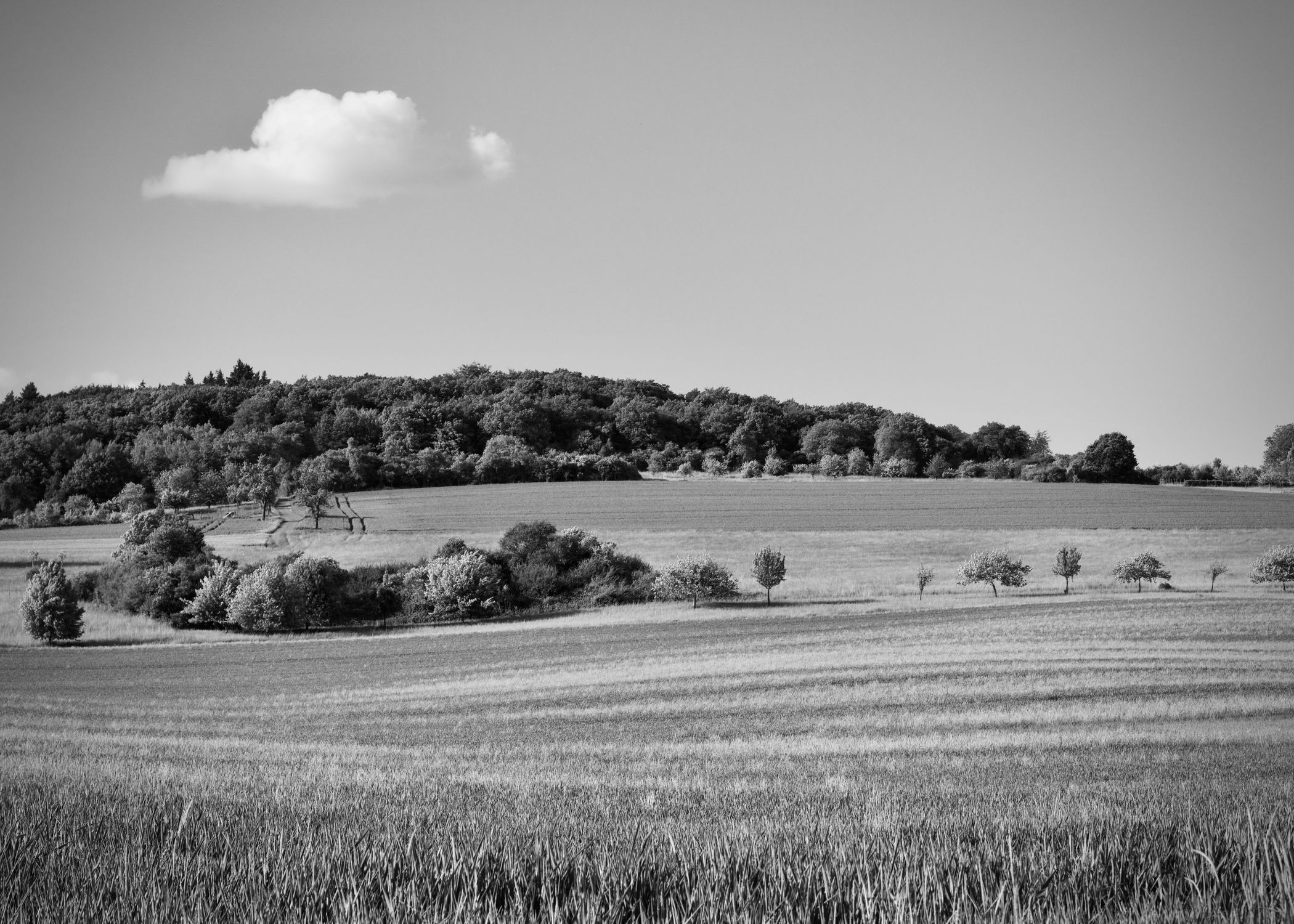 Black and White Scenic Countryside Landscape · Free Stock Photo