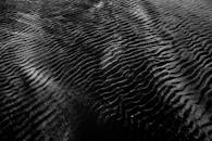 抽象的黑白照片中，沙子的纹理与波纹共同营造出令人着迷的图案