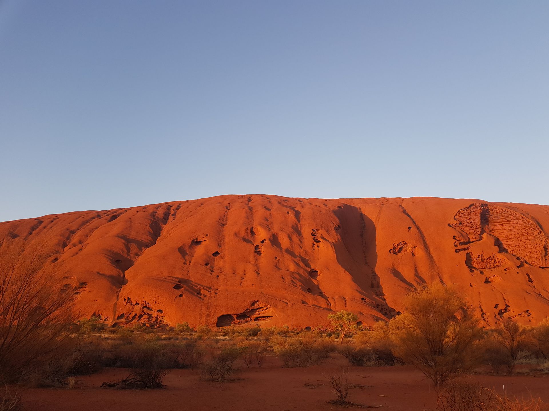 Pared roja de Uluru iluminada por la luz cálida del sol bajo en el Outback australiano