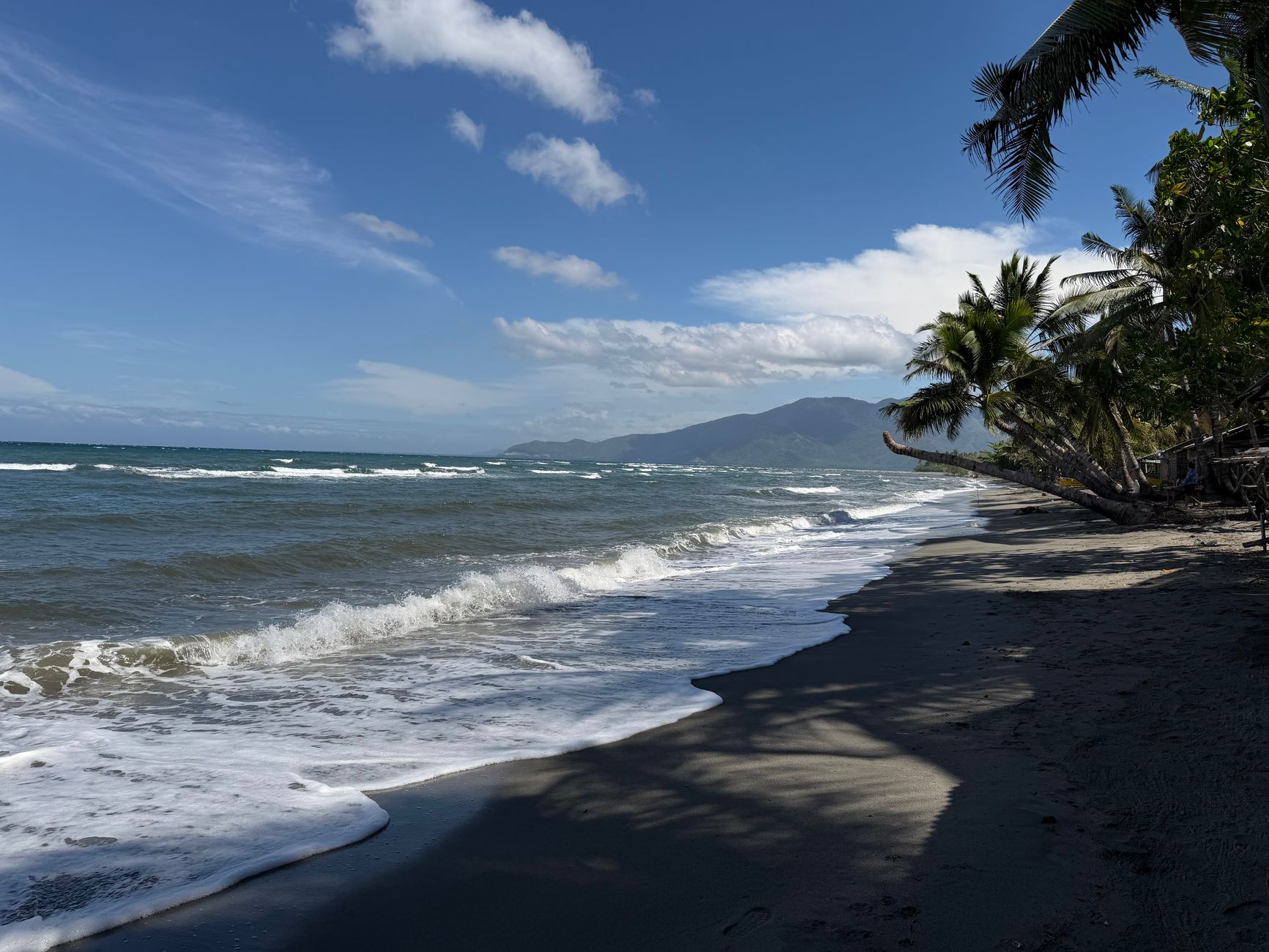 Serene tropical beach with palm trees and gentle waves under a bright blue sky.