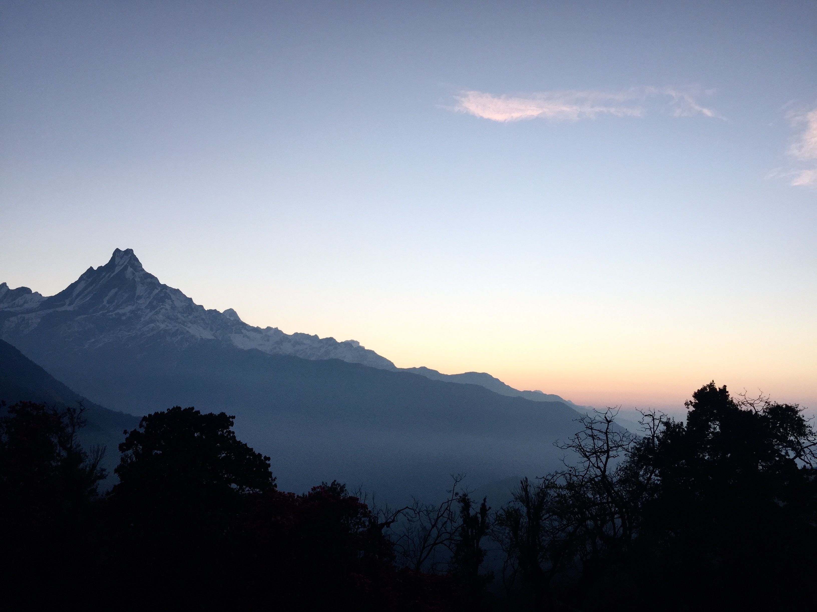 Machhapuchhre at dawn above a sea of valley mist