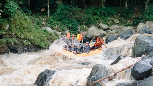 Free Adventurers navigating rapid waters in a dense, green forest setting. Perfect for thrill-seekers. Stock Photo