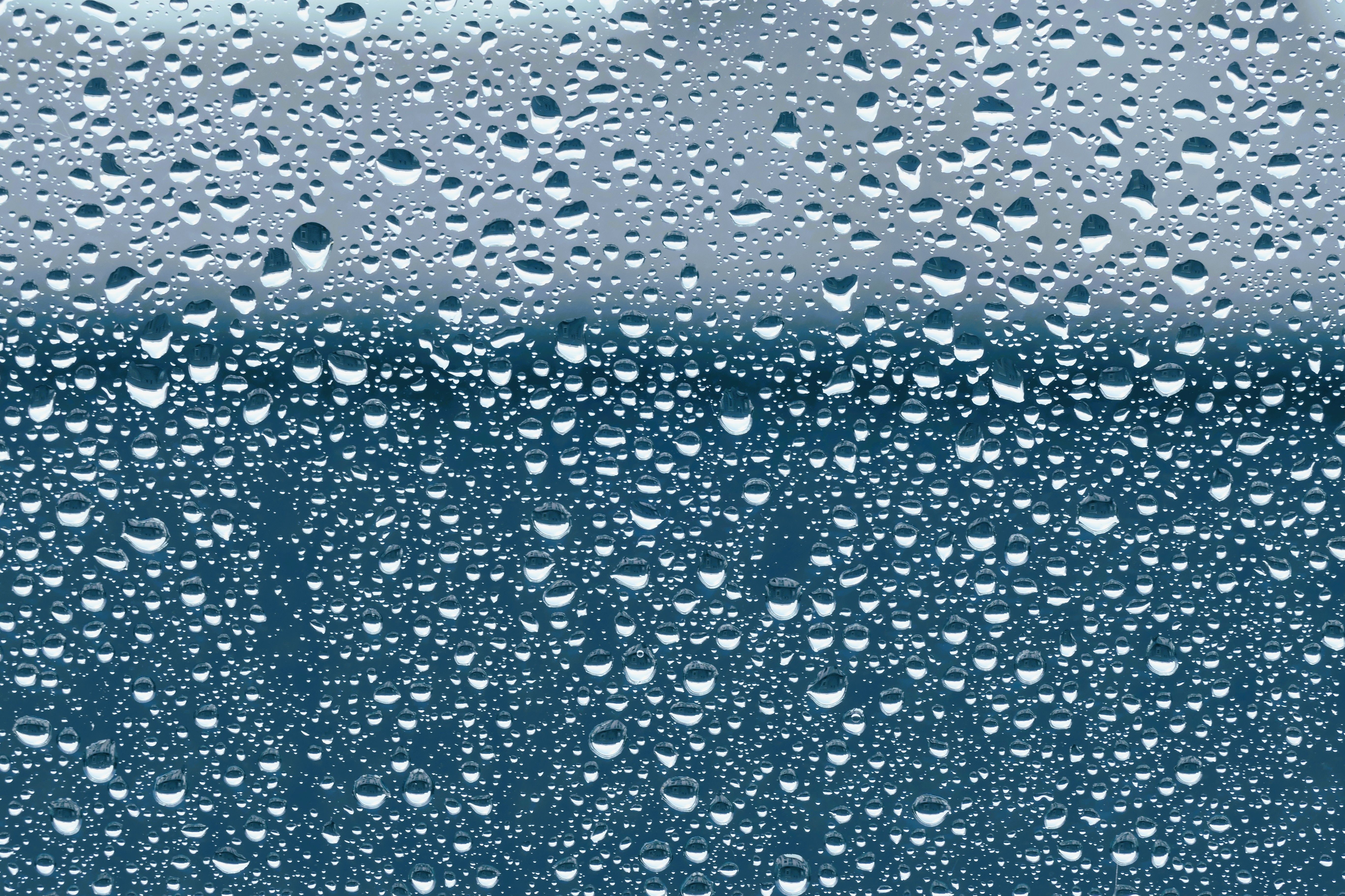除湿盒