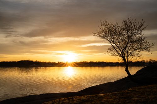 Free A beautiful sunset over a calm lake with a silhouette of a tree in the foreground, creating a peaceful ambiance. Stock Photo