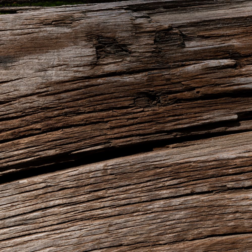 Fence and Decking Painting in Hayes — clean edges cut in around trim and sockets