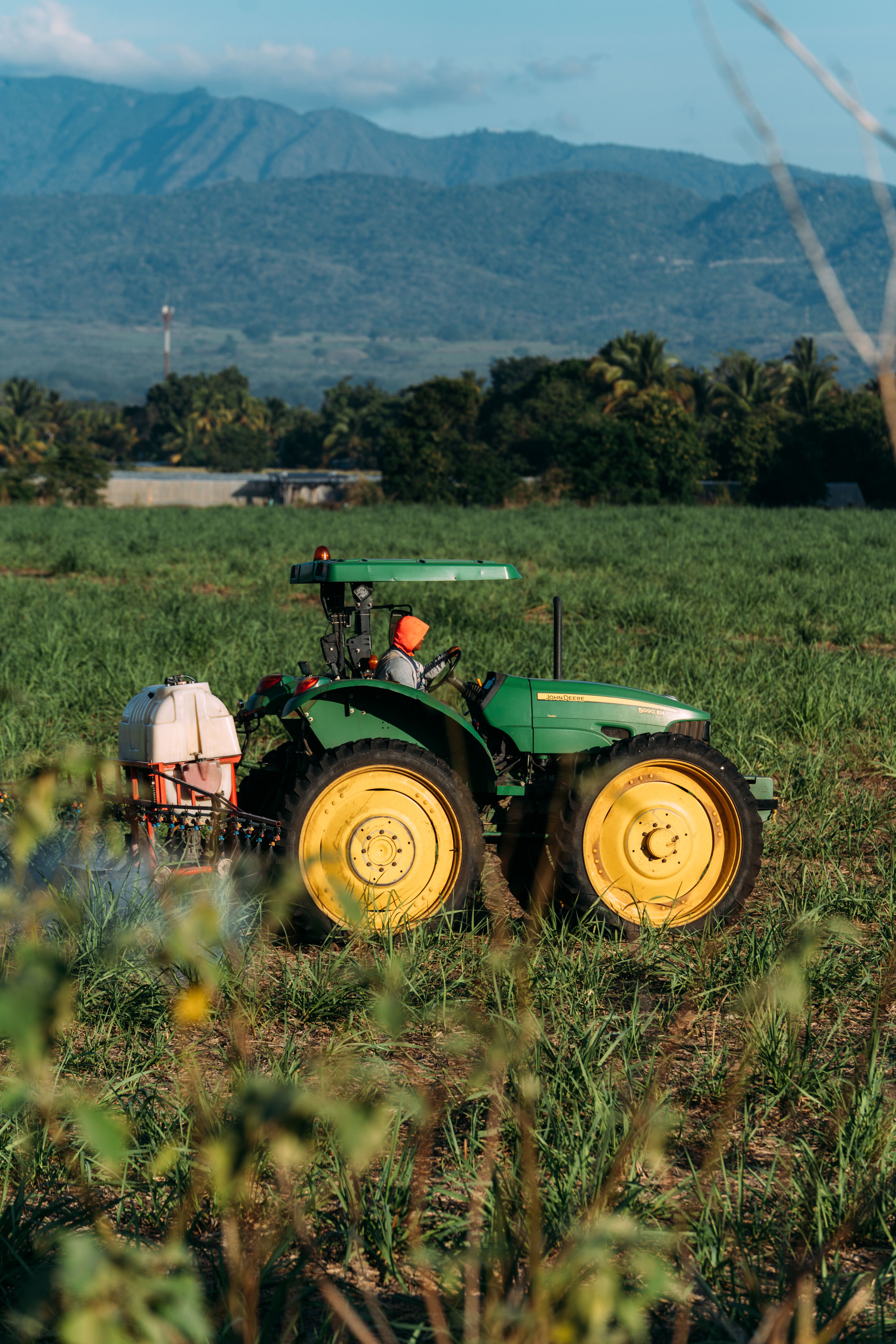 Nicaragua: RSE agroindustrial que impulsa prácticas sostenibles y bienestar familiar