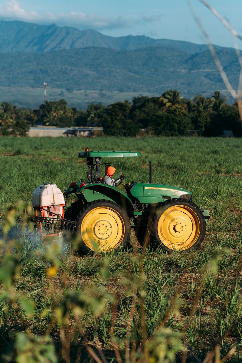 A green tractor working in a lush field with mountain backdrop on a sunny day.