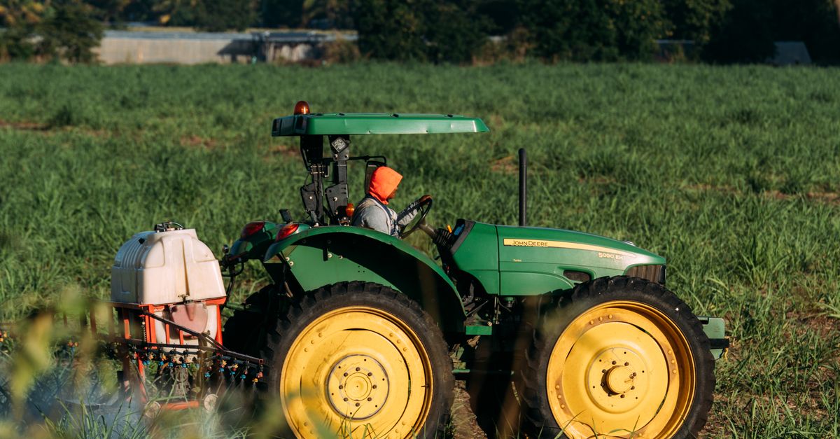 Nicaragua: RSE agroindustrial que impulsa prácticas sostenibles y bienestar familiar Nicaragua: RSE agroindustrial que impulsa prácticas sostenibles y bienestar familiar