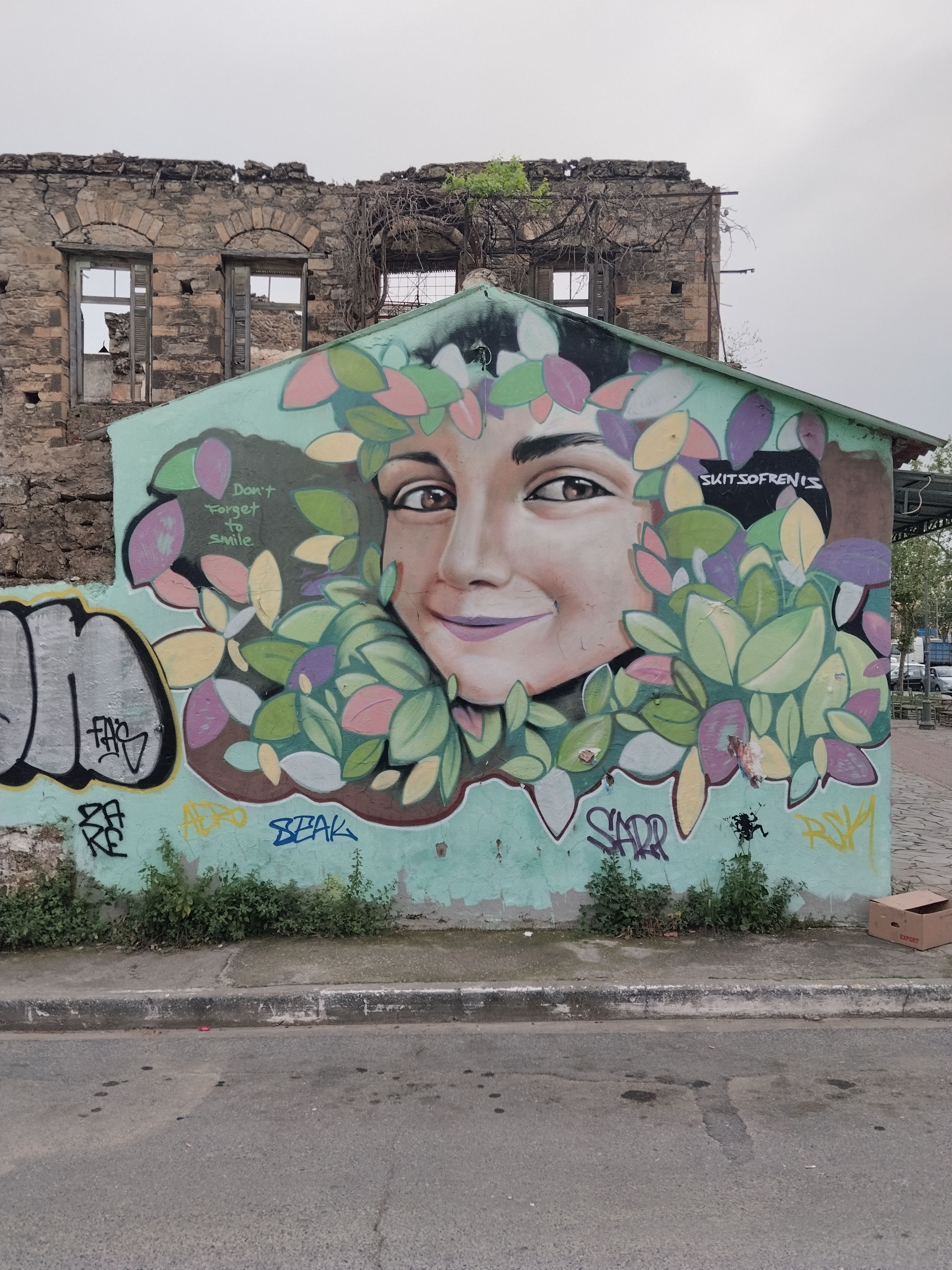 Vibrant mural of a smiling face surrounded by leaves on a building in Kalamata, Greece.