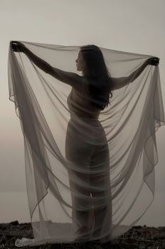 Elegantly captured silhouette of a woman holding sheer fabric, creating a serene and artistic effect against a sunset backdrop.