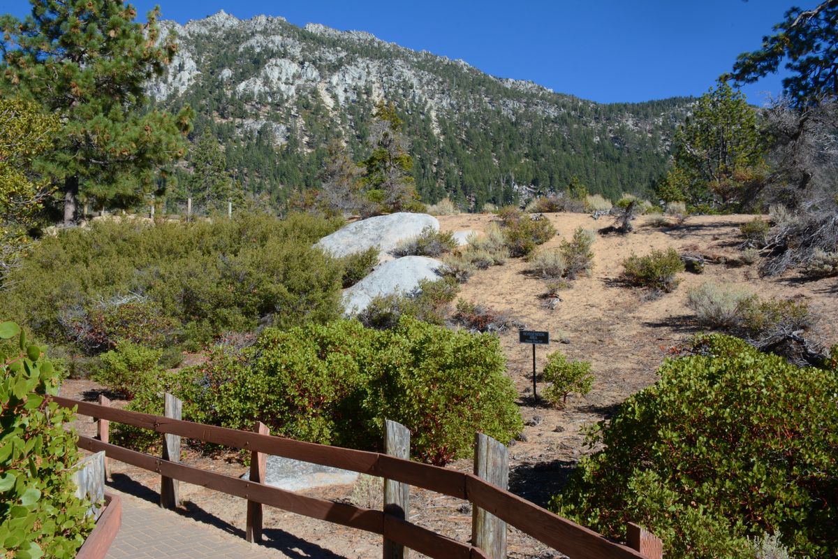 Mountain landscape near Incline Village, Nevada