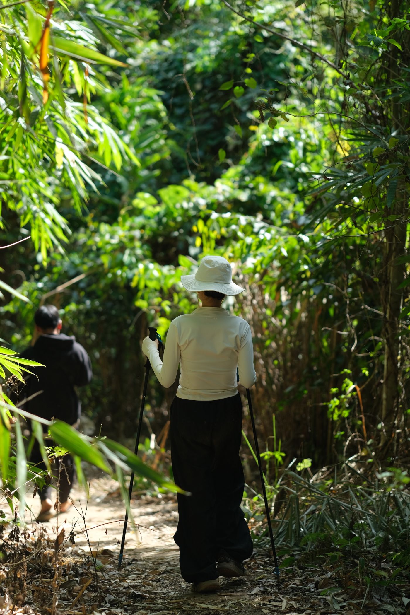 Two hikers walking along a lush green forest trail on a sunny day.