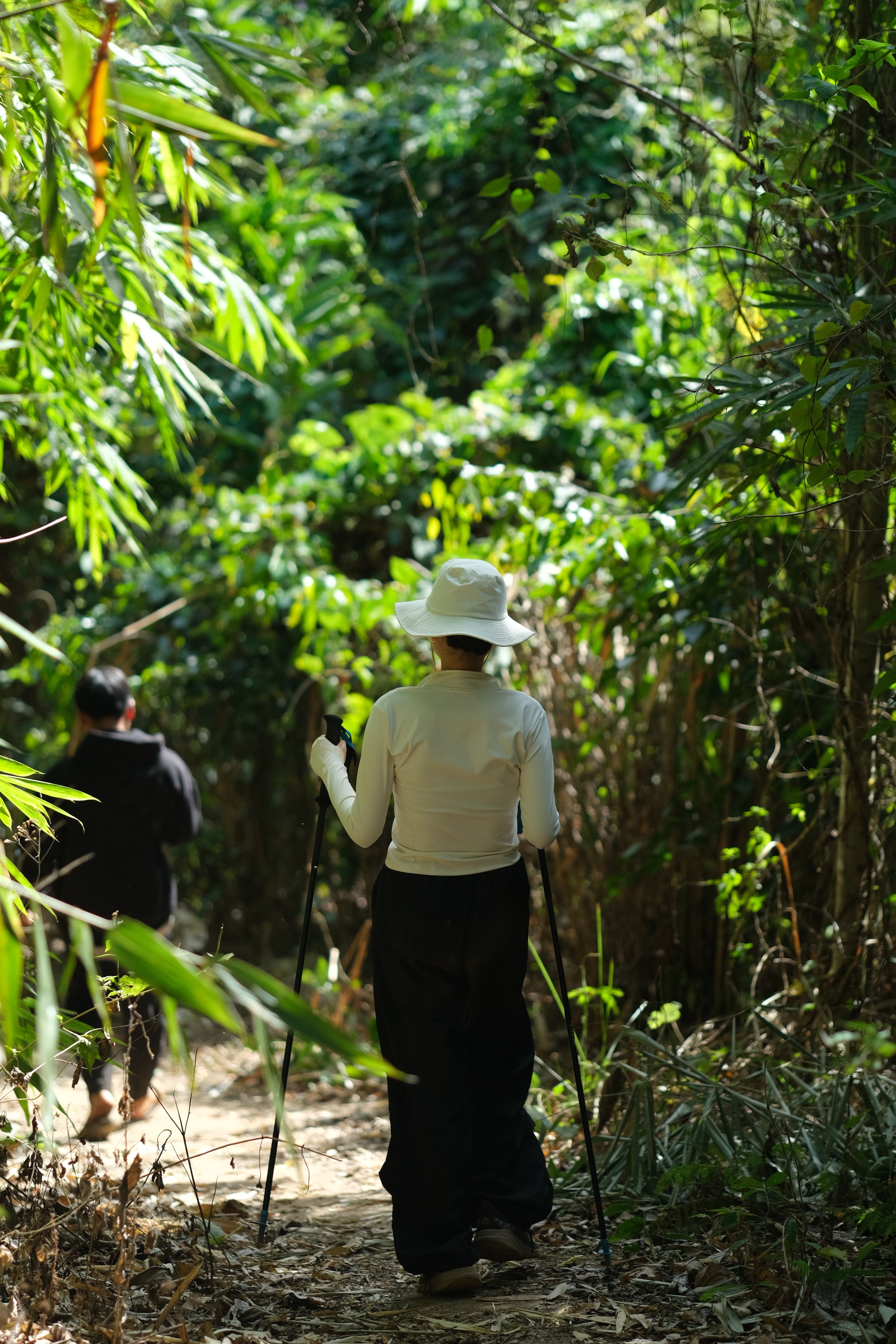 Hikers Trekking Through Lush Green Forest Trail · Free Stock Photo