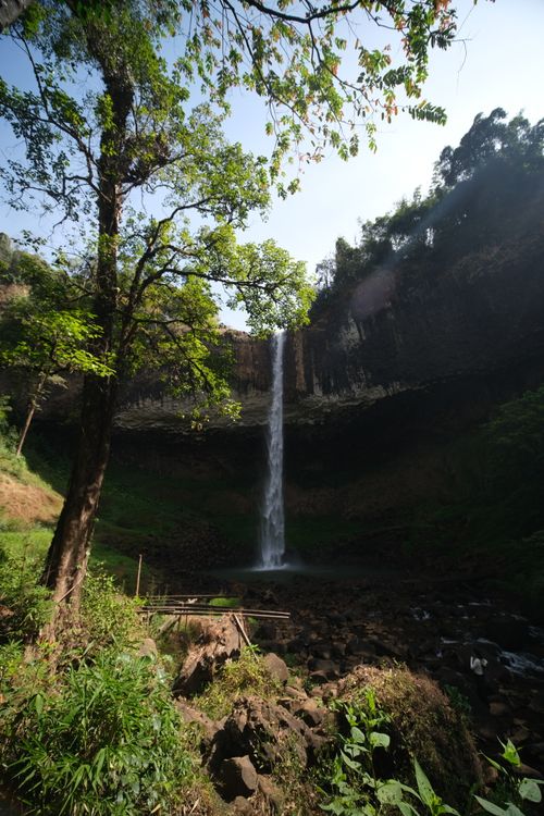 Free A breathtaking vertical waterfall surrounded by vibrant greenery in a serene forest setting. Stock Photo