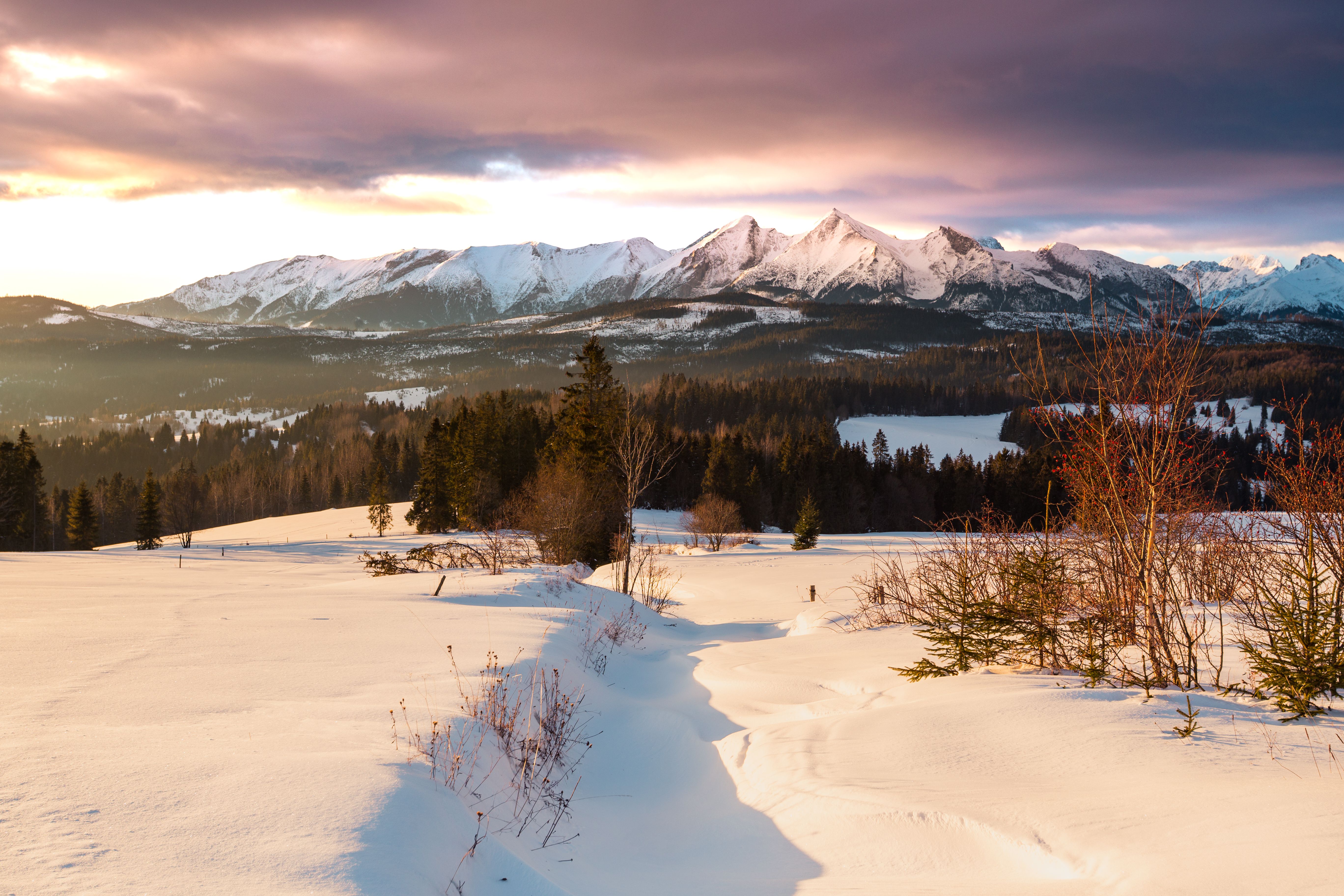 Snow-covered Tatra peaks at sunset above an open snowfield