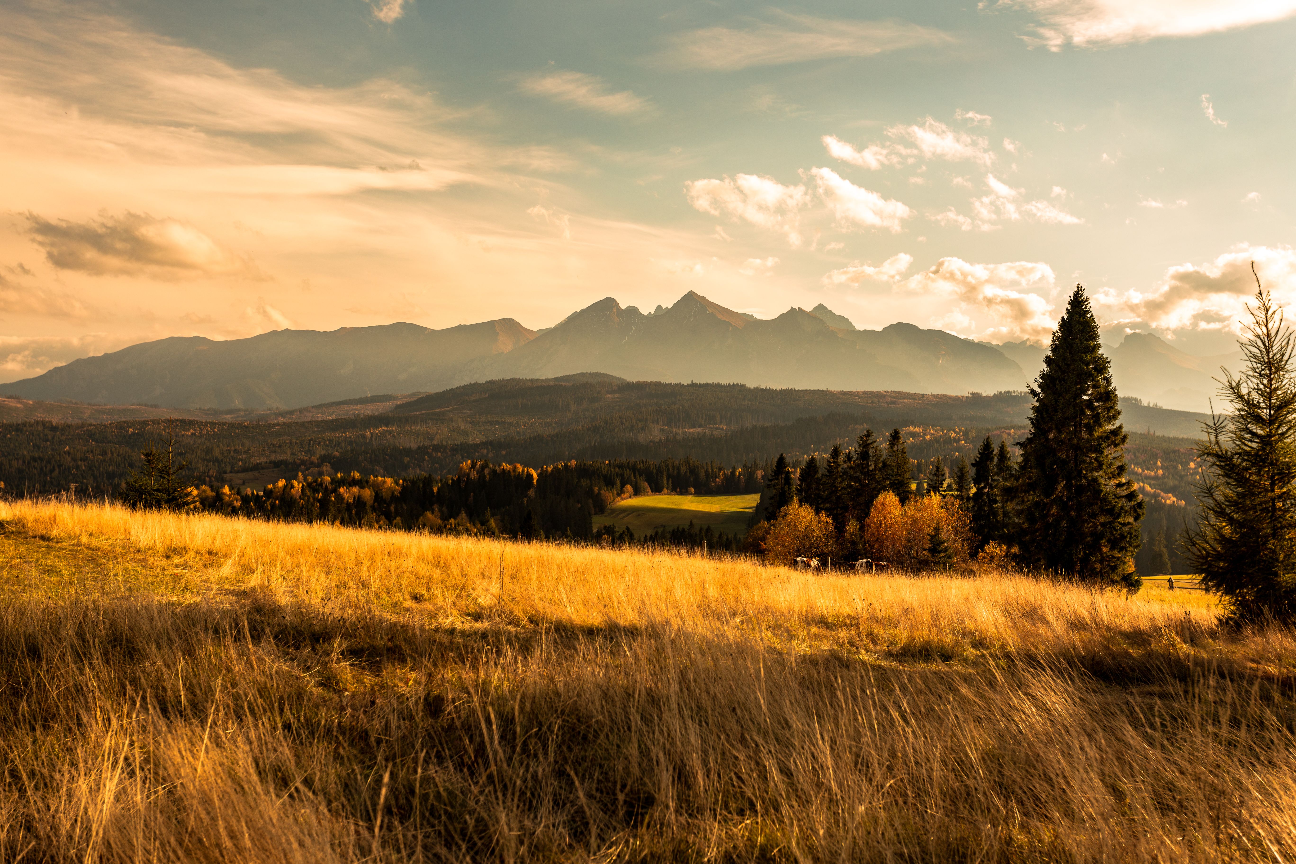 Breathtaking autumn landscape of Tatra Mountains with golden fields and a dramatic sky.