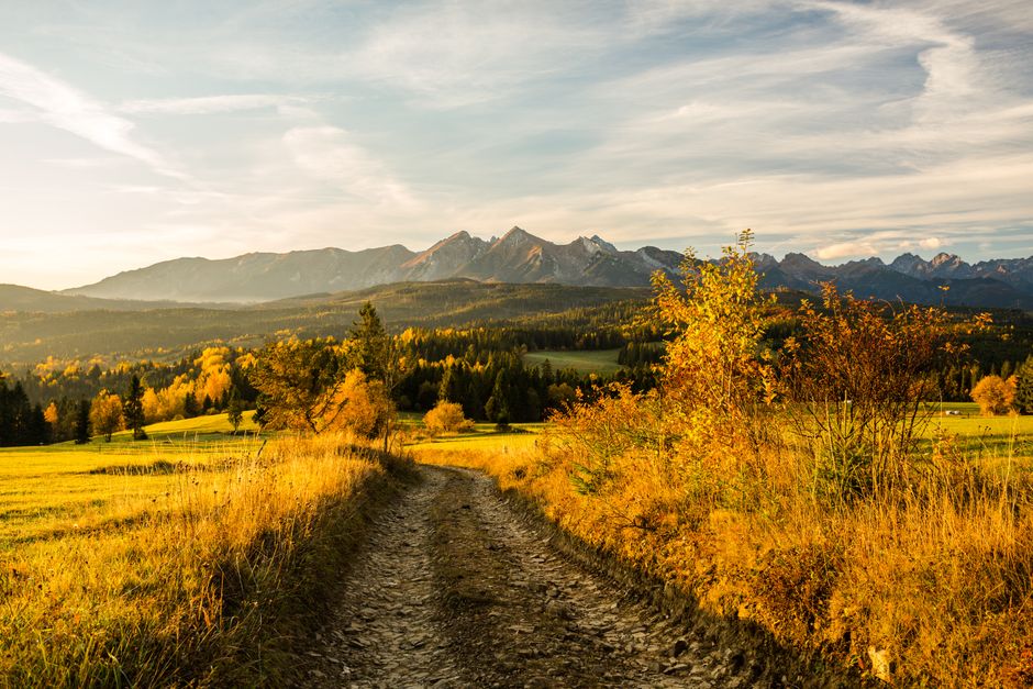 Quel visa choisir pour vivre en Pologne ?