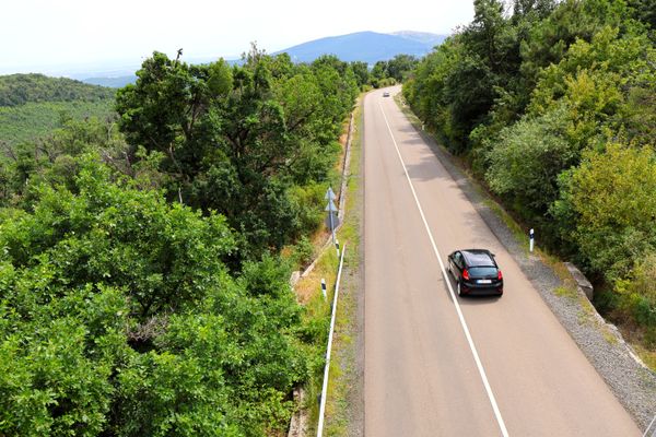 Black car on an empty forest road framed by dense green trees. Photo by Joy Mor on Pexels