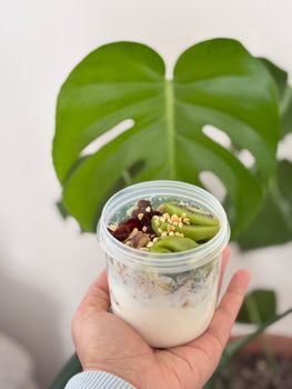 4.0oz Zee Zees Yogurt Cup