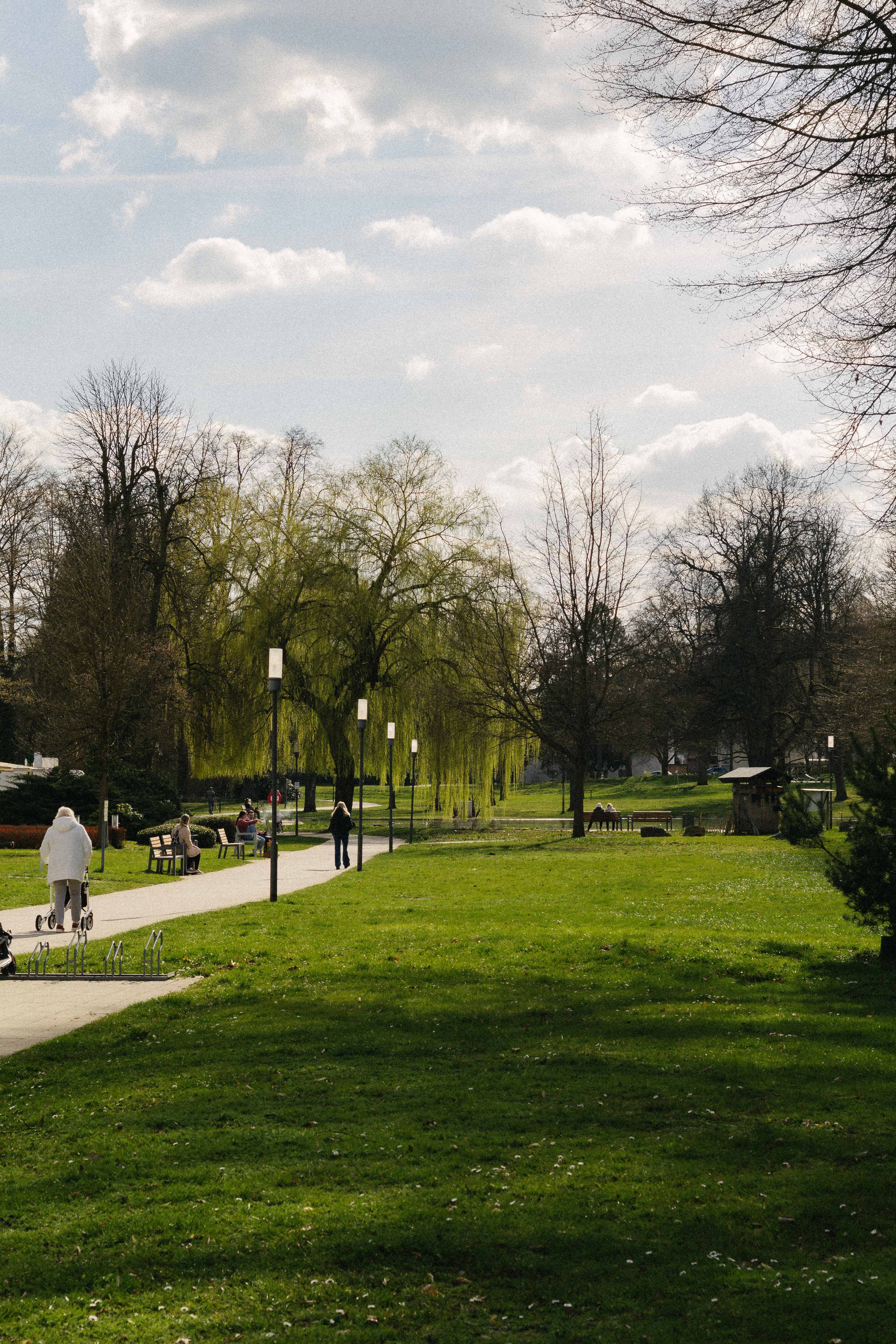 Scenic Spring Park with Walking Path and Greenery · Free Stock Photo