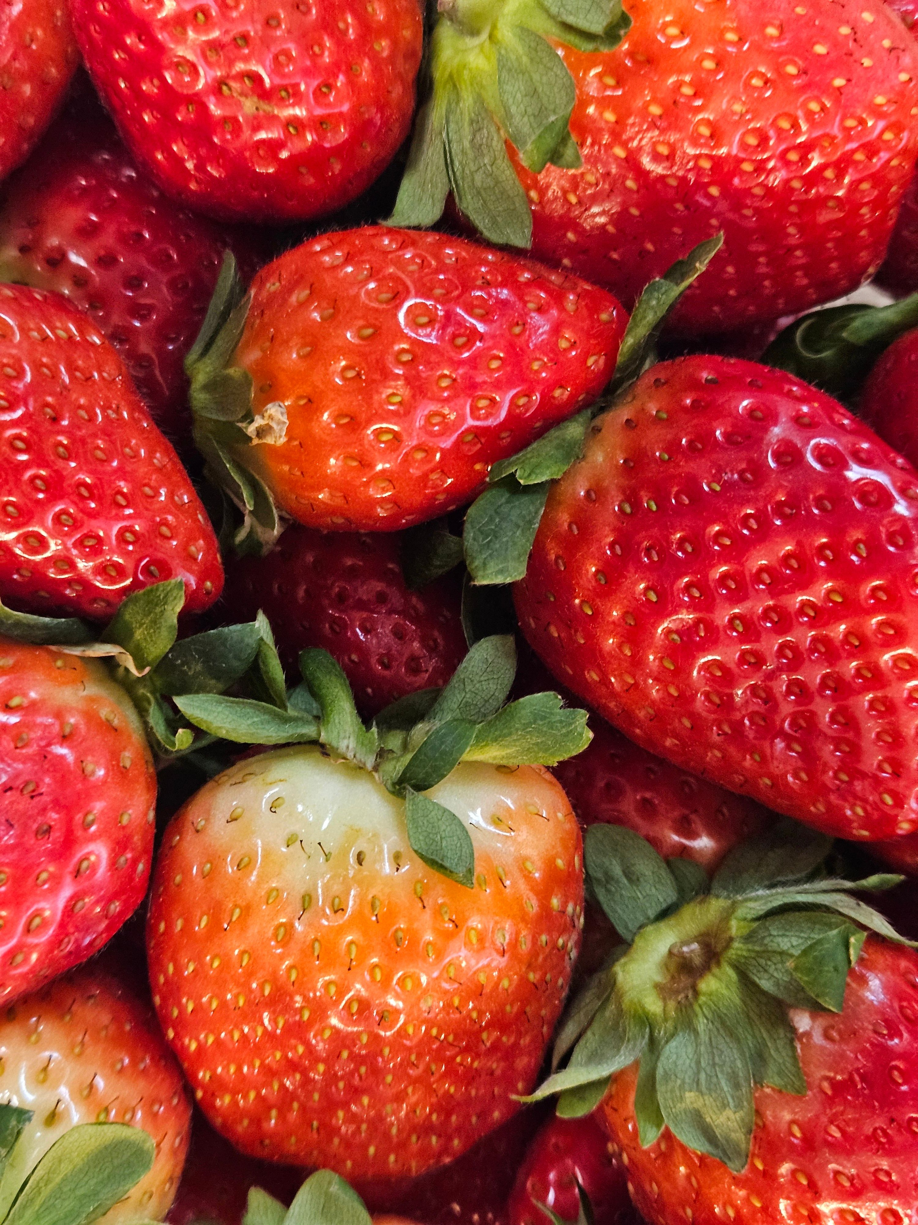 Close-up of Fresh Red Strawberries with Green Leaves · Free Stock Photo