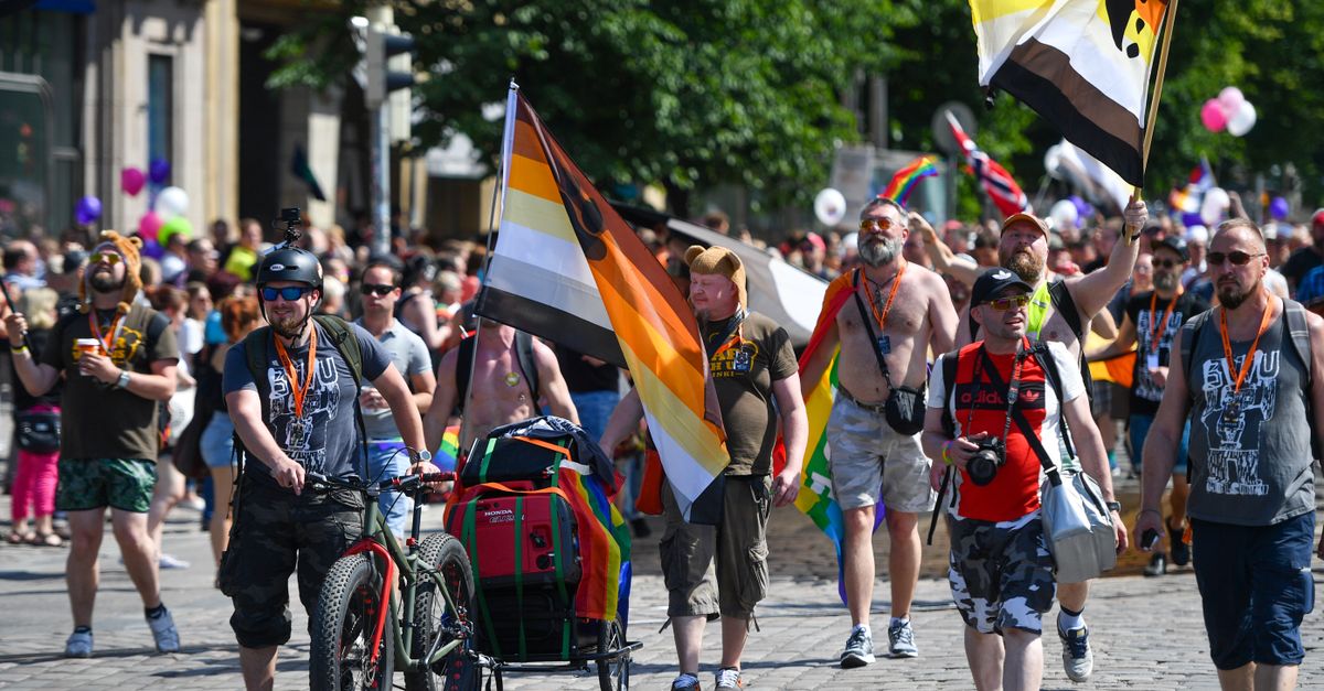 A vibrant pride parade in Helsinki showcases diversity and inclusion with rainbow flags and participants marching.