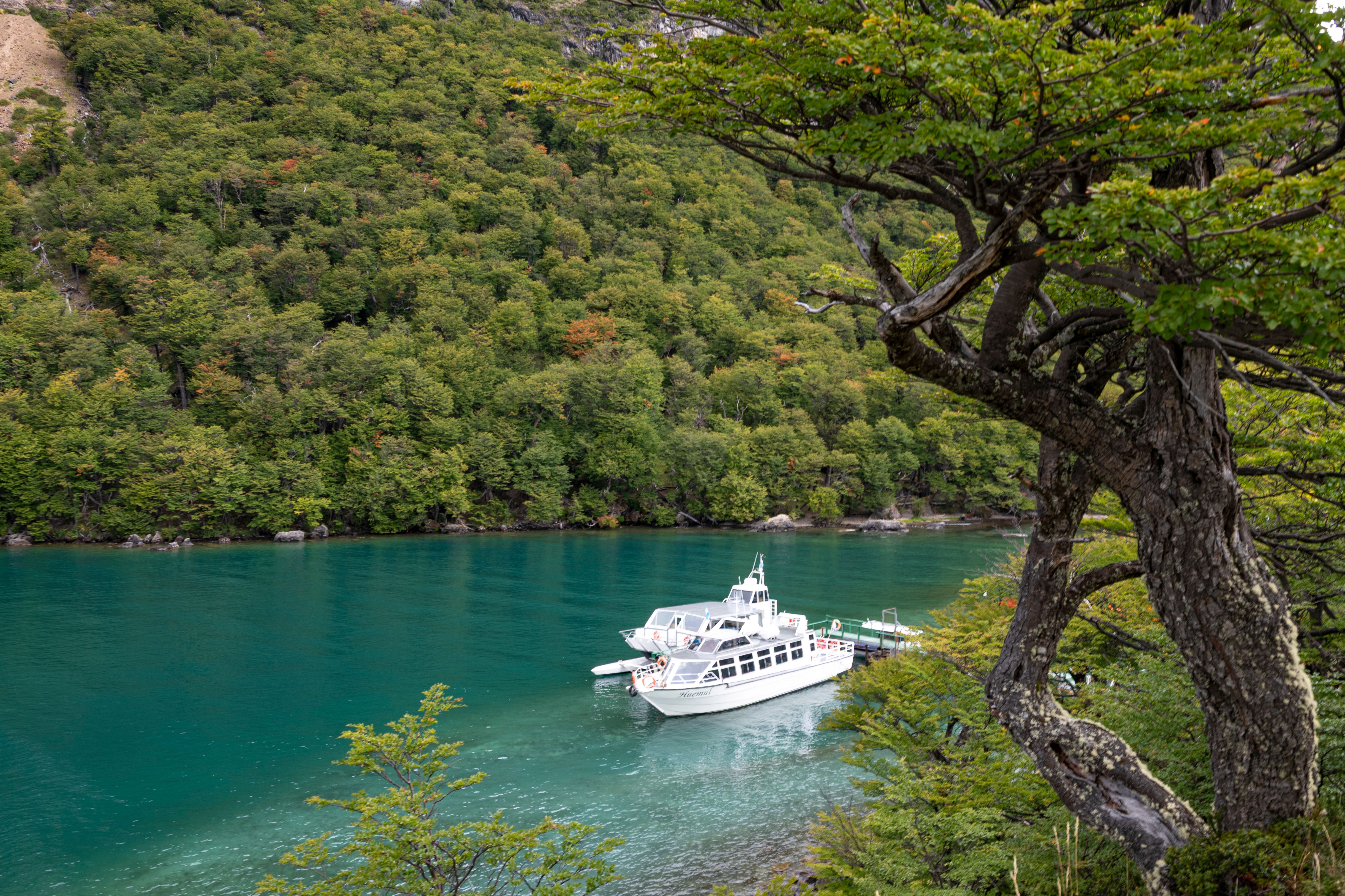Vue sereine sur un lac à Santa Cruz, en Argentine, avec un bateau amarré au milieu d'une végétation luxuriante.