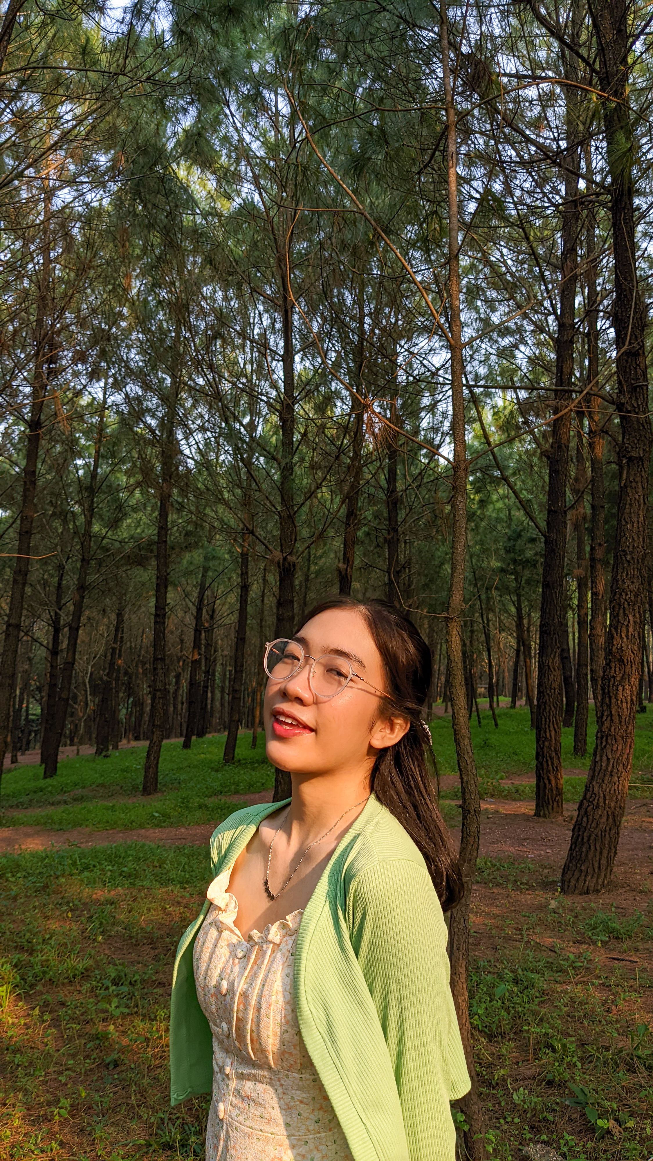 A woman enjoys the outdoors in a serene pine forest in Hue, Vietnam.