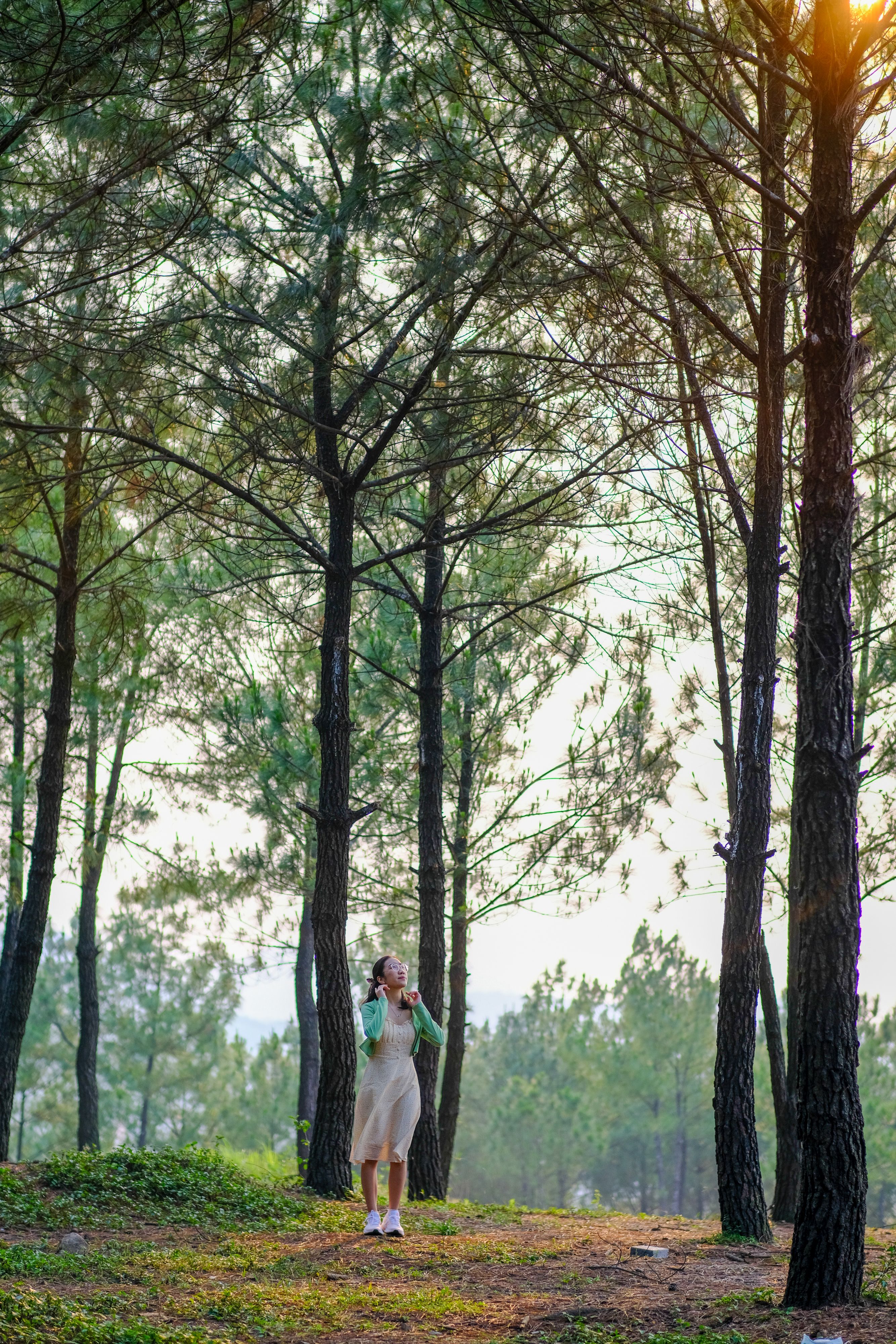 Serene Portrait in Vietnamese Pine Forest