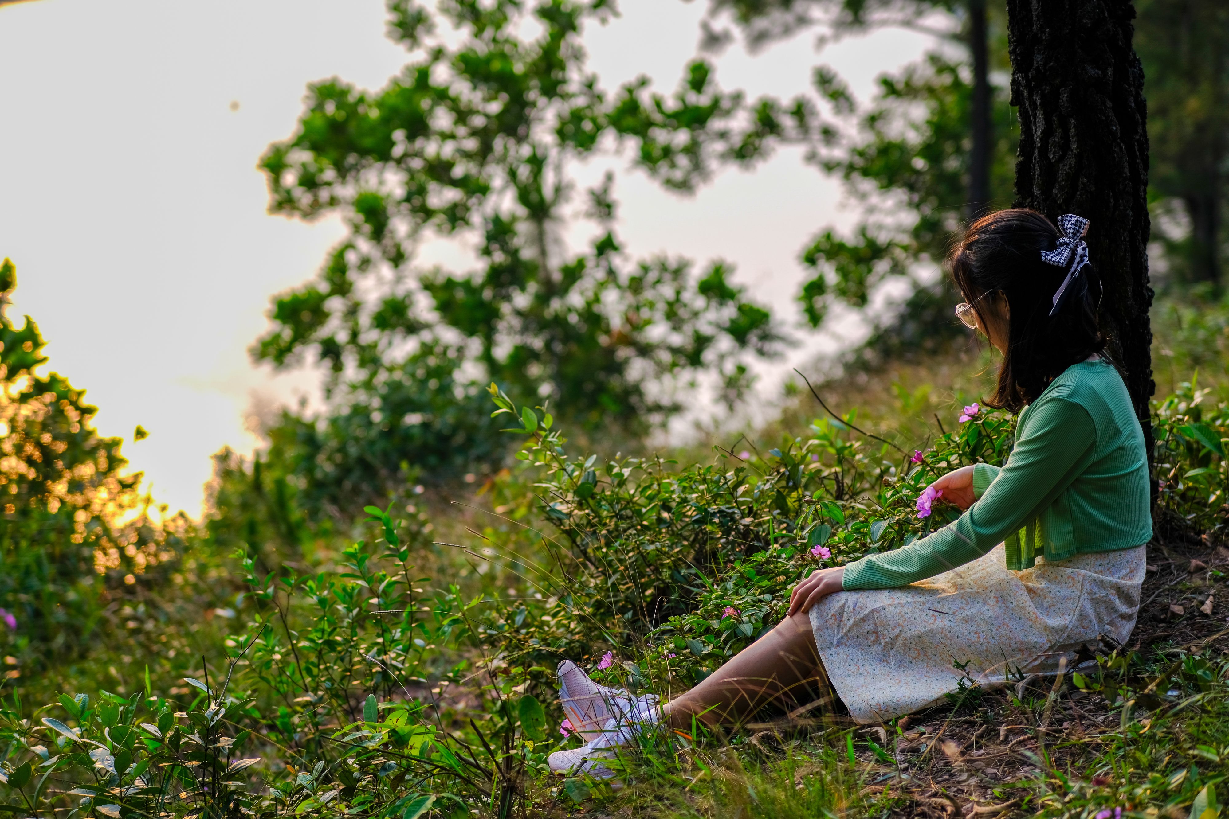 A woman sits peacefully in a forest, enjoying a serene sunset in Huế, Vietnam.