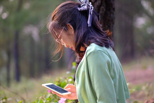 Free A young woman with glasses checks her smartphone in a lush forest setting in Hue, Vietnam. Stock Photo