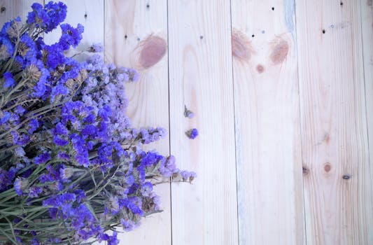 Free stock photo of flowers, top view, lavender, wooden planks